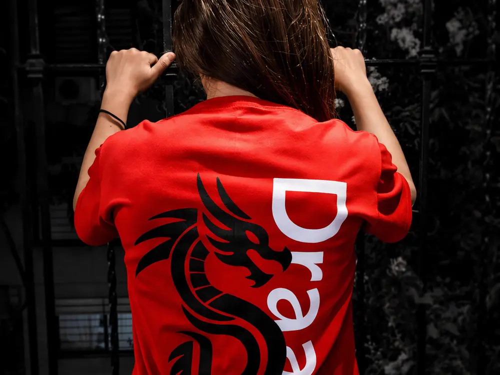 Remera Draak con dragón — tienda